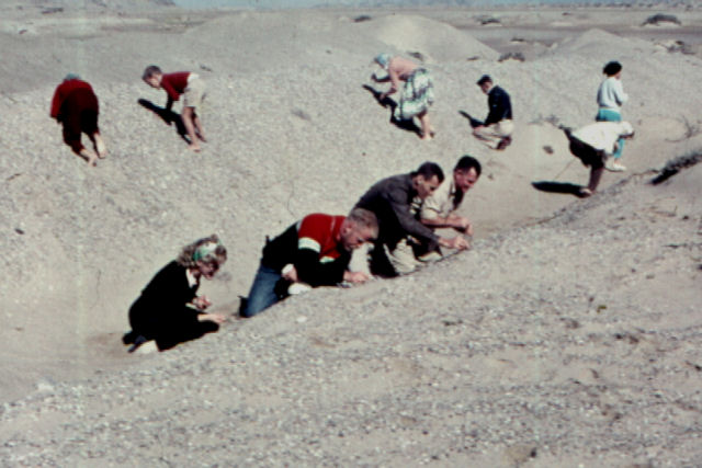 Agate Searching